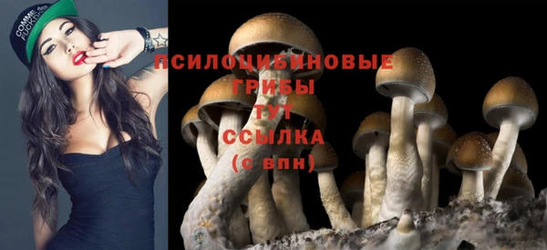 метадон Лихославль