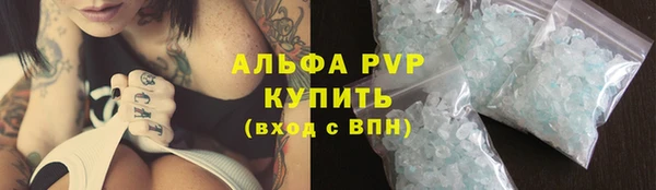 мдпв Бердск