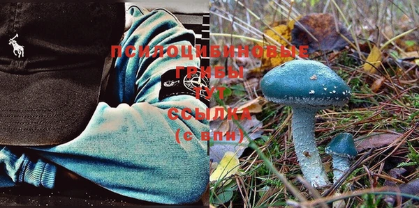 метадон Лихославль