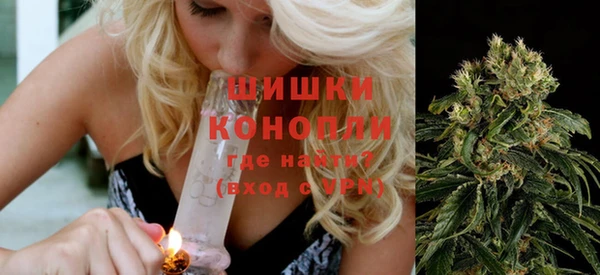 прущие крисы Магас