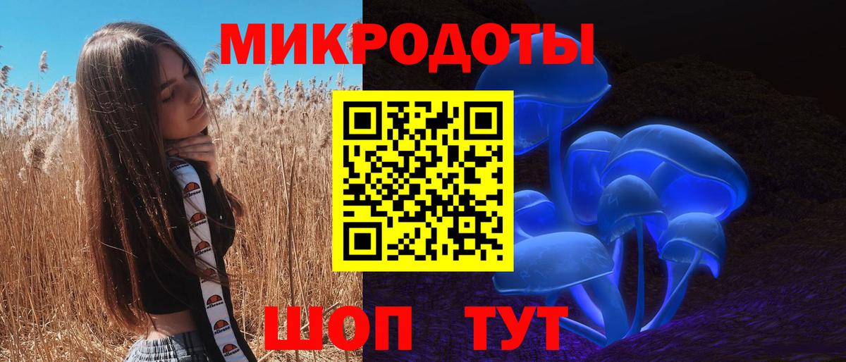 Галлюциногенные грибы Psilocybe  Вход с VPN  Североуральск 